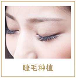 睫毛种植